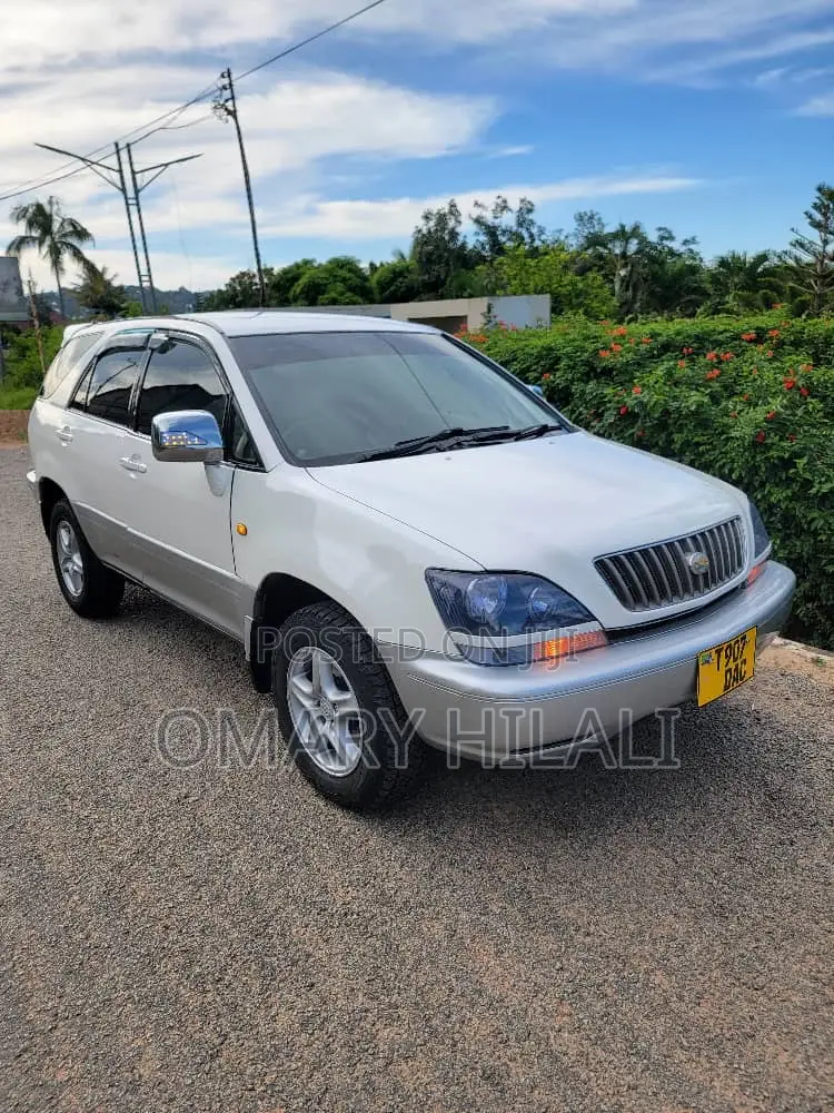 Toyota Harrier 2004 Pearl
