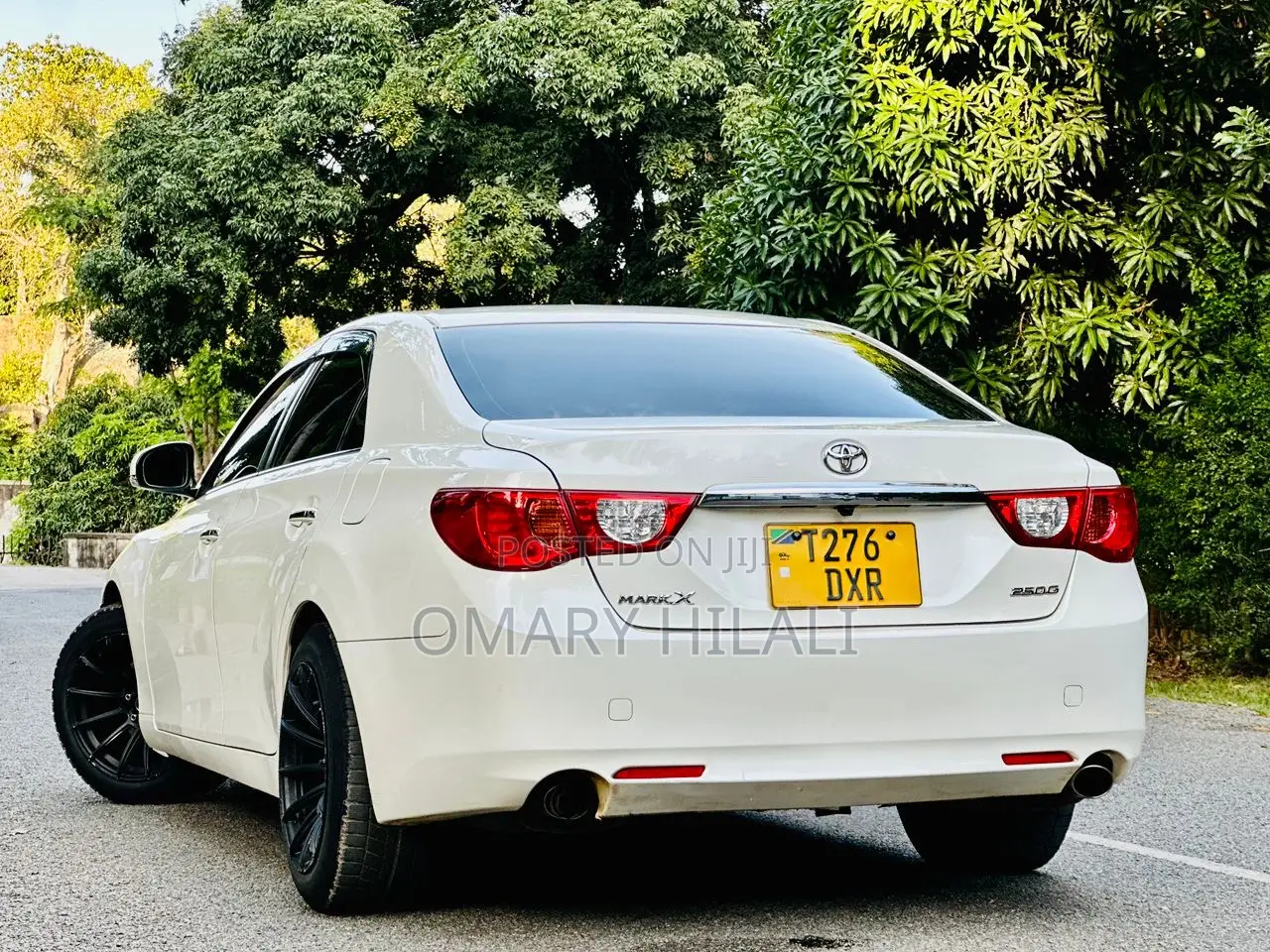 Toyota Mark X 2010 Pearl