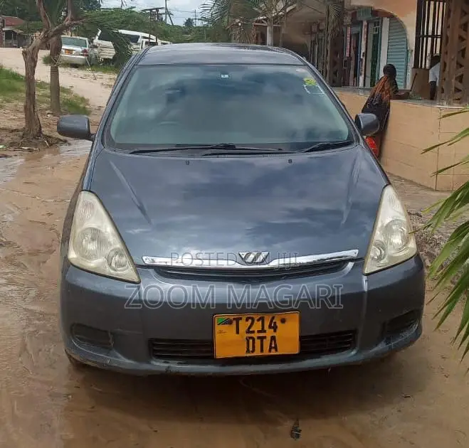 Toyota Wish 2010 Gray