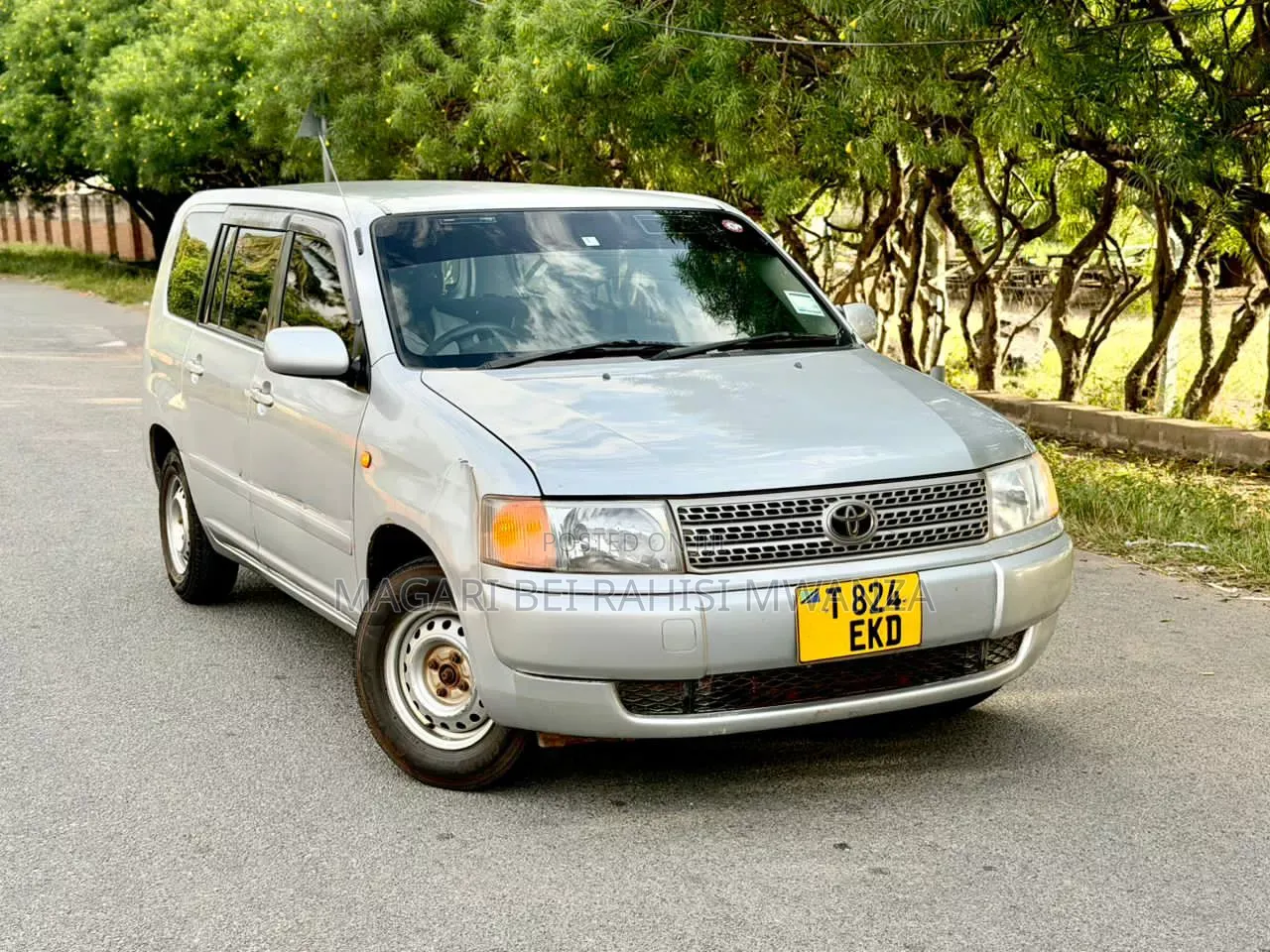 Toyota Probox 1.5 CNG 2WD 2006 Silver