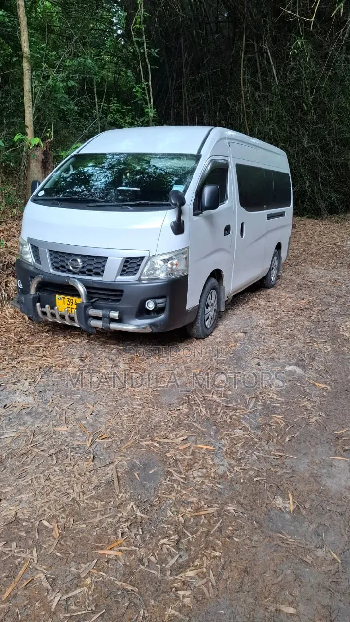 Nissan Caravan (Urvan) 2013 White