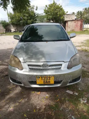 Toyota Corolla RunX 2003 Silver