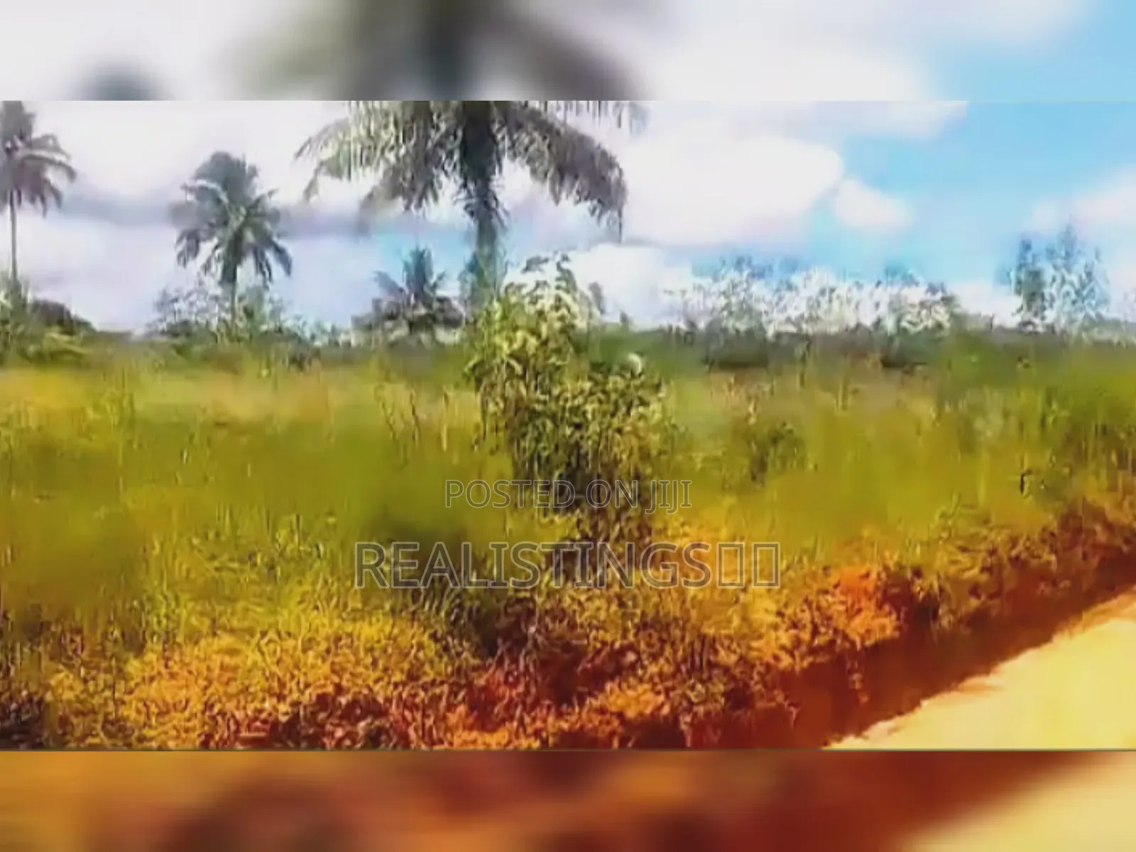 Mkuranga: 11.5 Acres Farm on Industrial Area for Sale