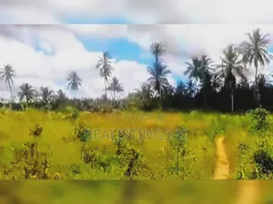 Mkuranga: 11.5 Acres Farm on Industrial Area for Sale