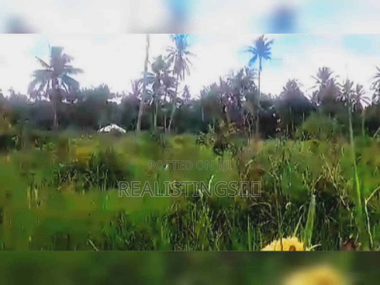 Mkuranga: 11.5 Acres Farm on Industrial Area for Sale