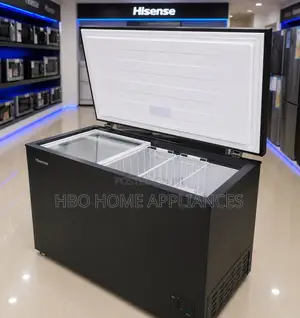 Hisense Freezer Lita 250