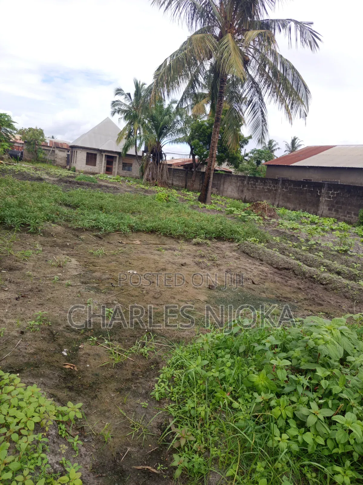 4bdrm Farm House in Mazizini, Ilala for sale