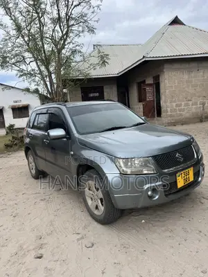 Suzuki Escudo 2005 Gray