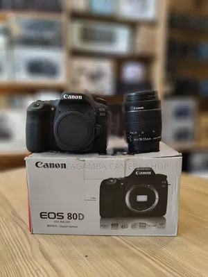 Canon 80d With 18-55