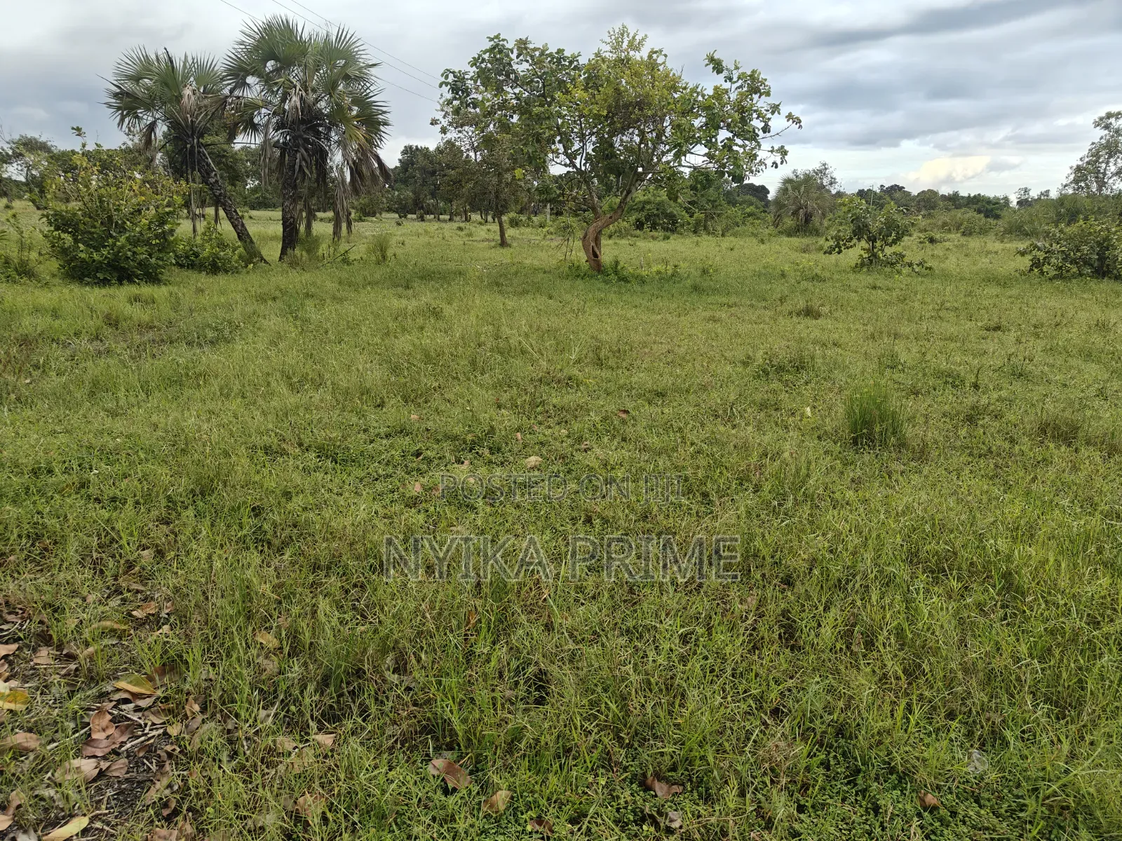 Plot for Sale-Kerege Kwa Kiwete