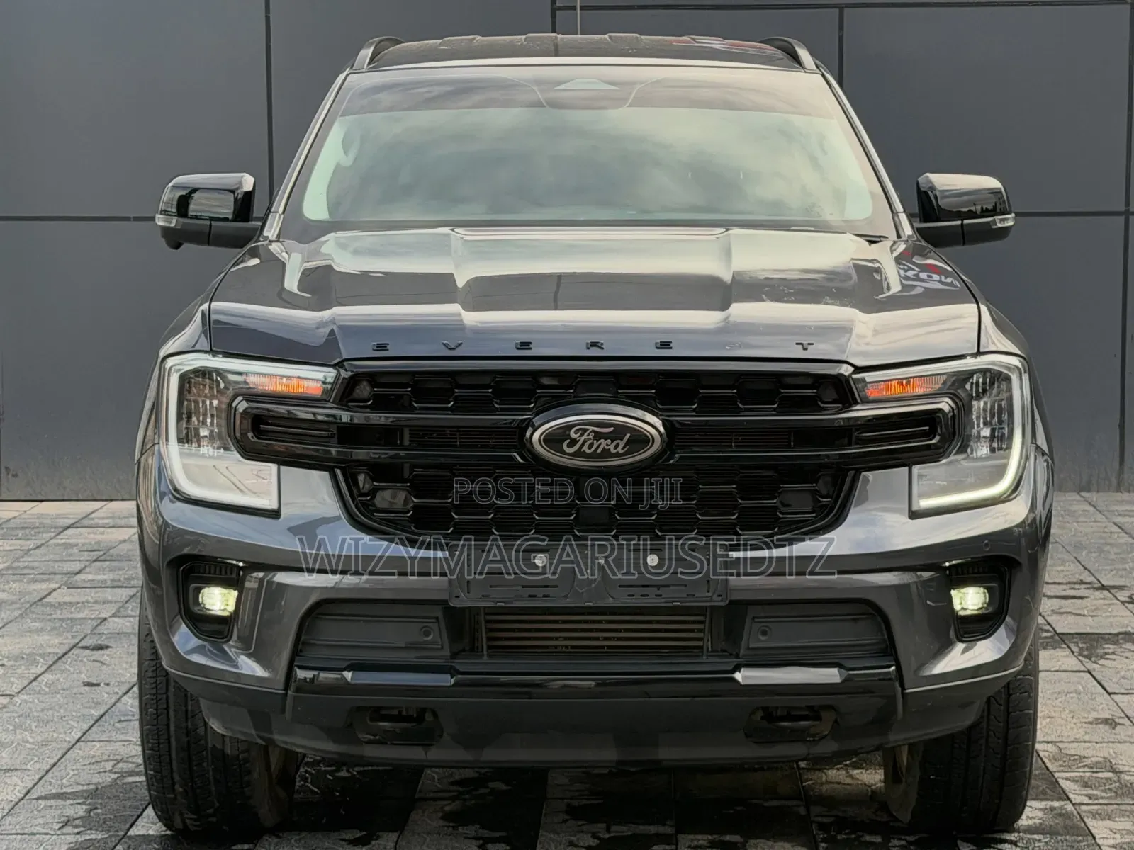 Ford Everest 2024 Gray
