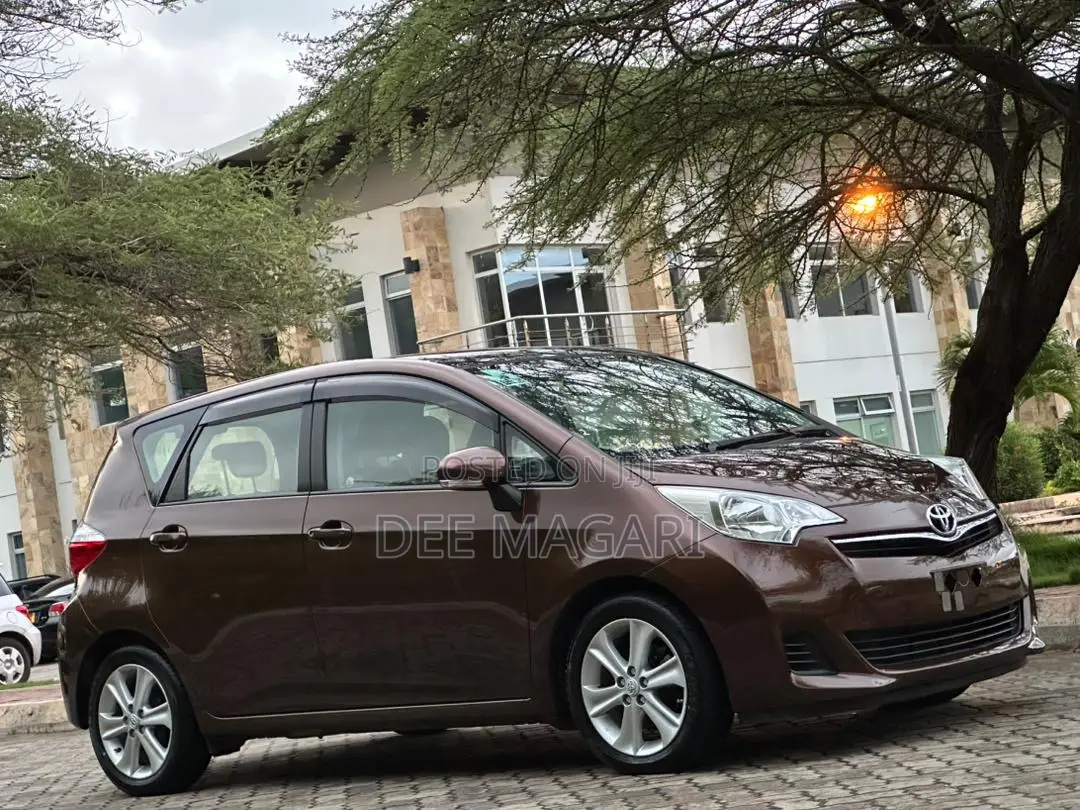 Toyota Ractis 2010 Brown