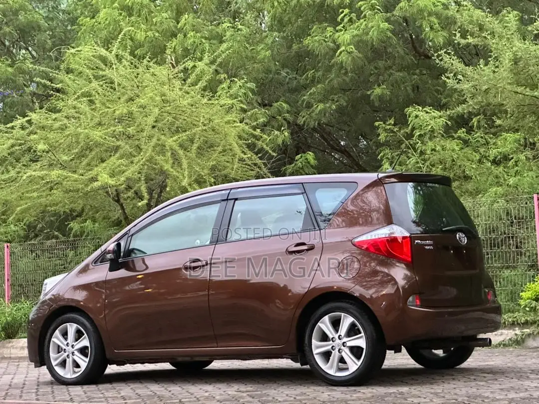 Toyota Ractis 2010 Brown