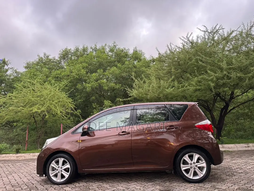Toyota Ractis 2010 Brown