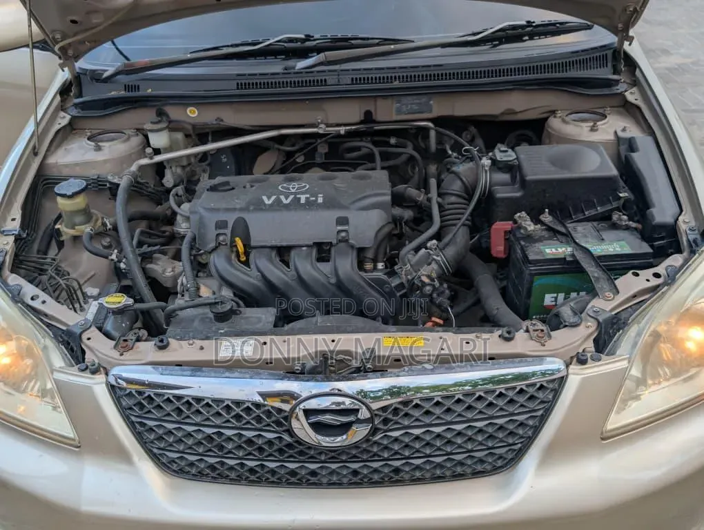 Toyota Corolla RunX 2006 Gold