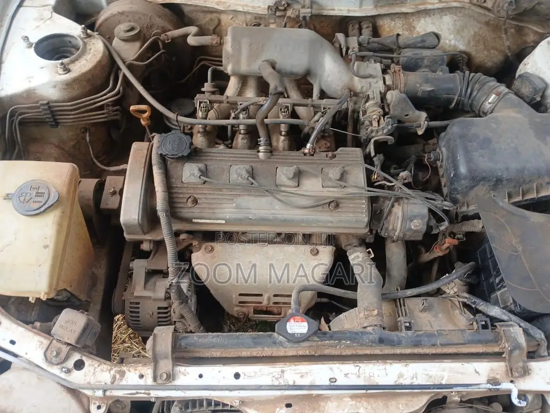 Toyota Corolla 1999 White