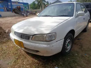 Toyota Corolla 1999 White