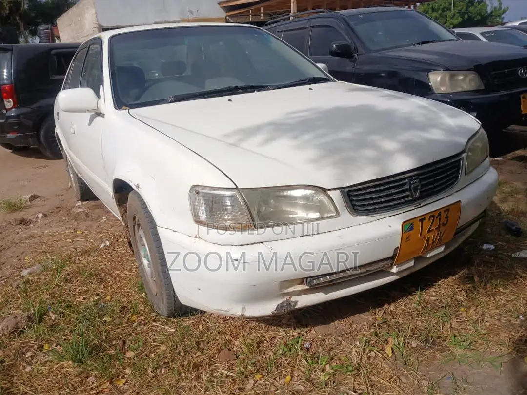 Toyota Corolla 1999 White