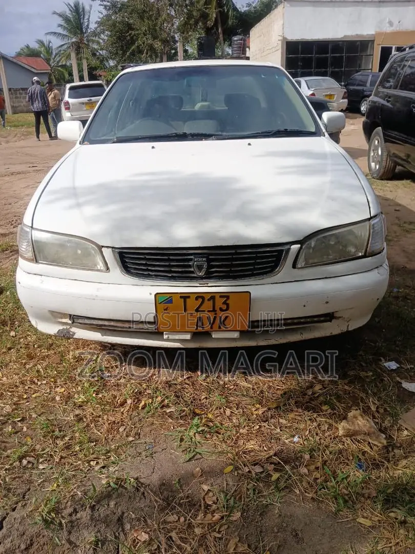 Toyota Corolla 1999 White
