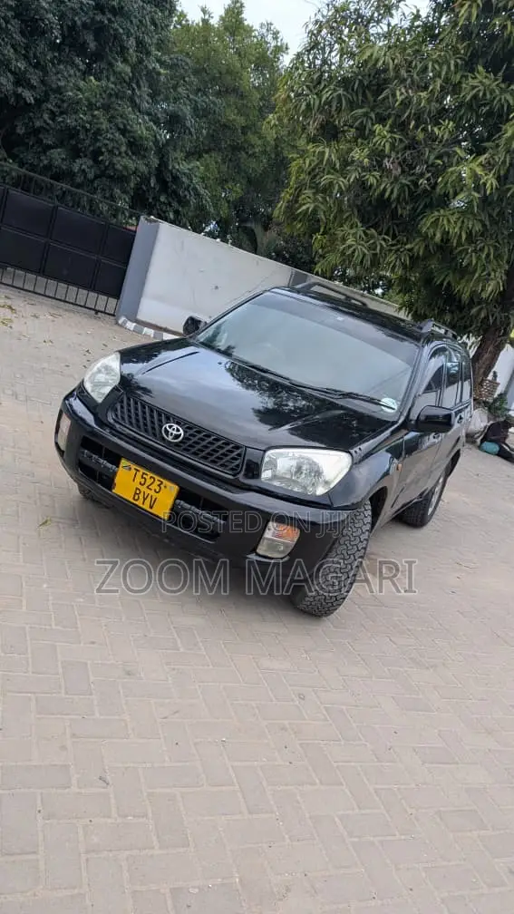 Toyota RAV4 2005 Black