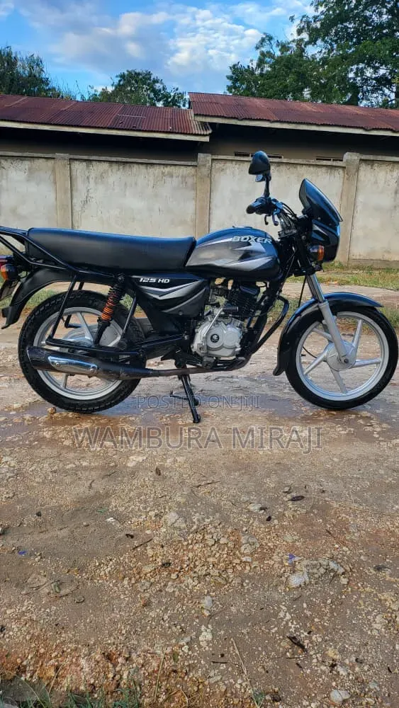 New Bajaj Boxer 125 2025 Blue