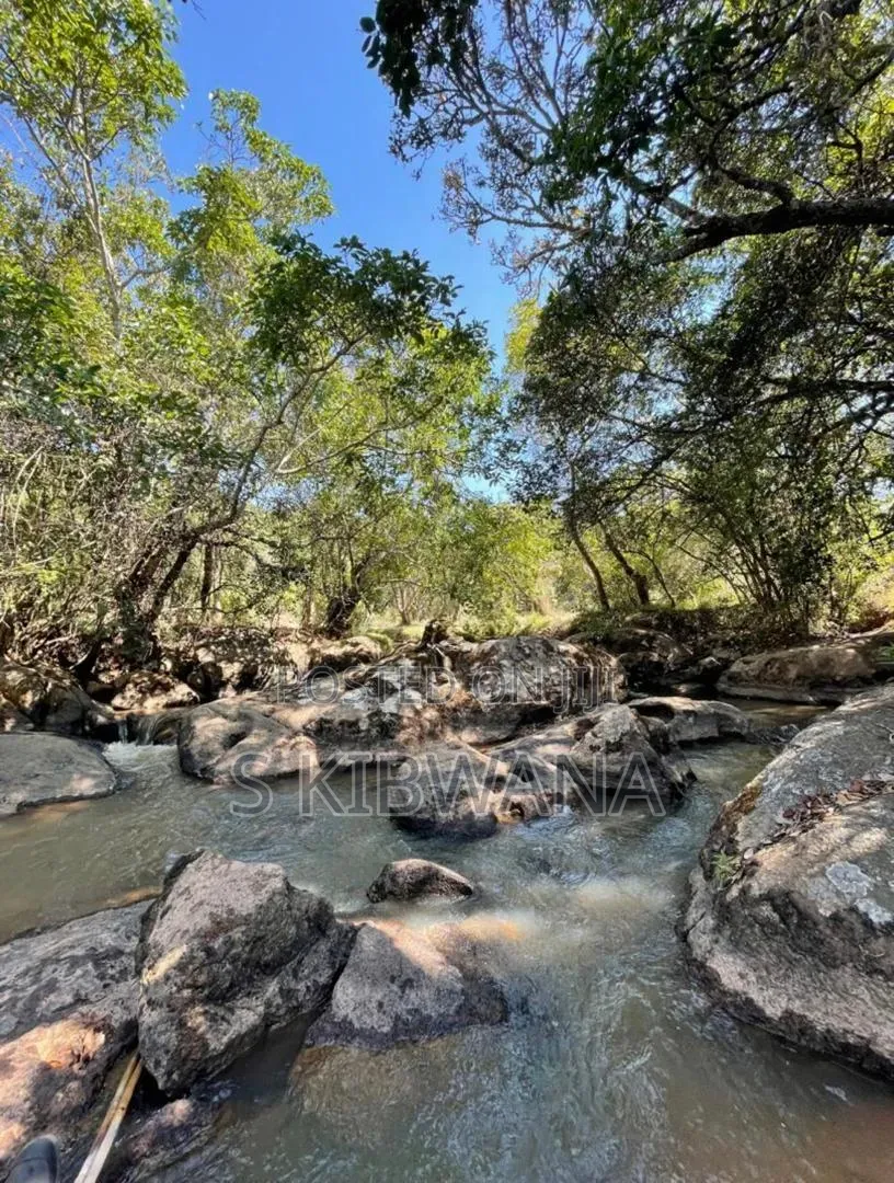 110 Acres of Opportunity Premium Farm for Sale Mufindi, Iringa