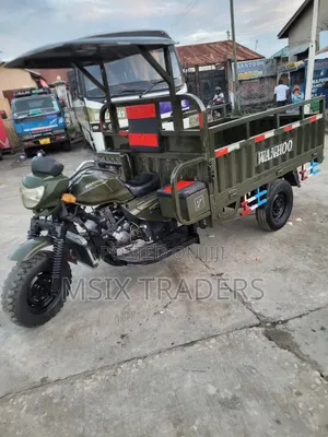 Wottan Motor Storm-S 300 2024 Green