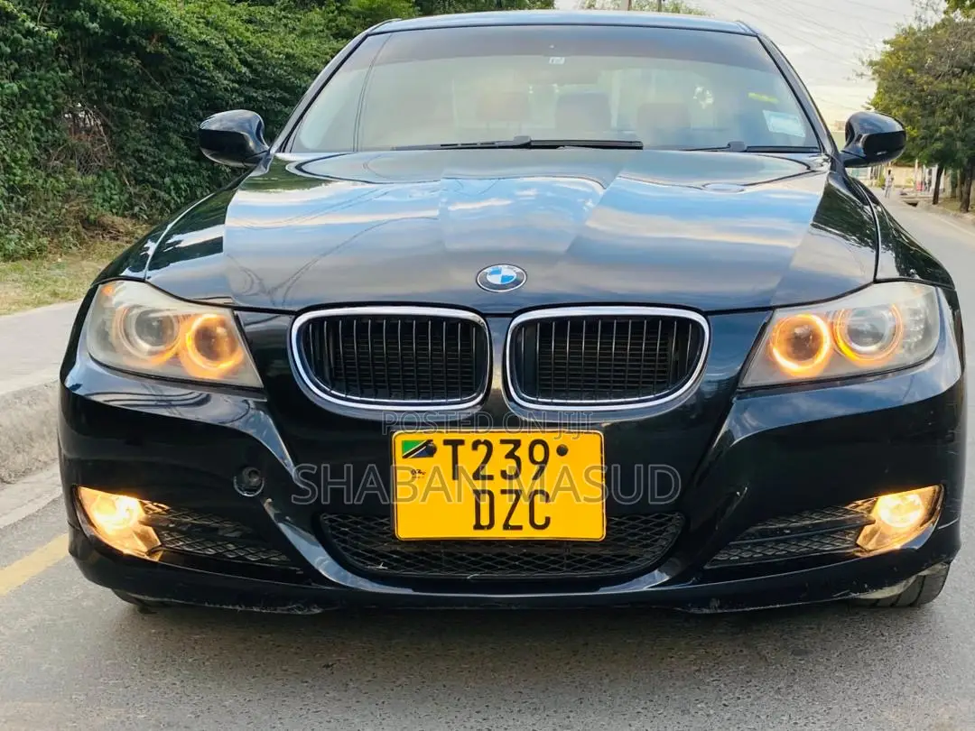 BMW 3 Series 320i RWD 2010 Black