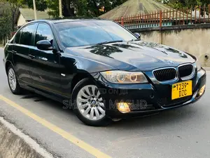 BMW 3 Series 320i RWD 2010 Black