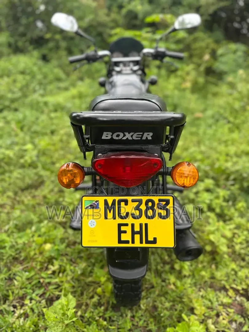 New Bajaj Boxer 125 2026 Brown