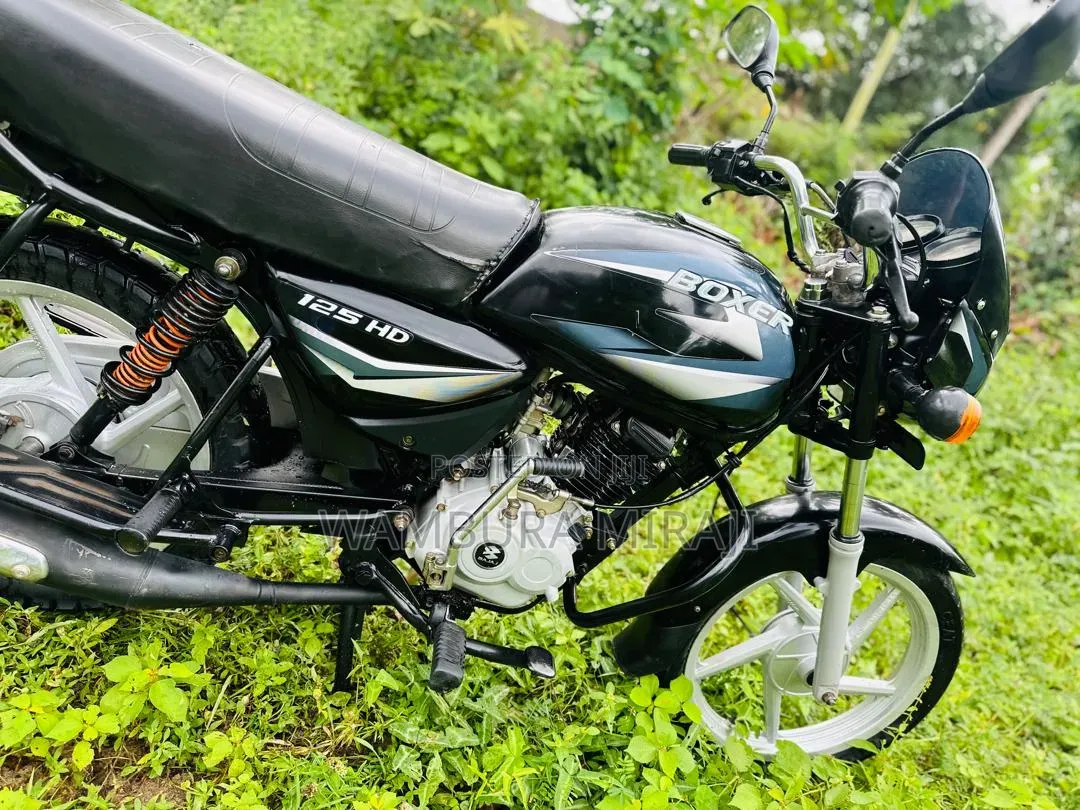 New Bajaj Boxer 125 2026 Brown