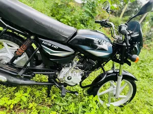 New Bajaj Boxer 125 2026 Brown