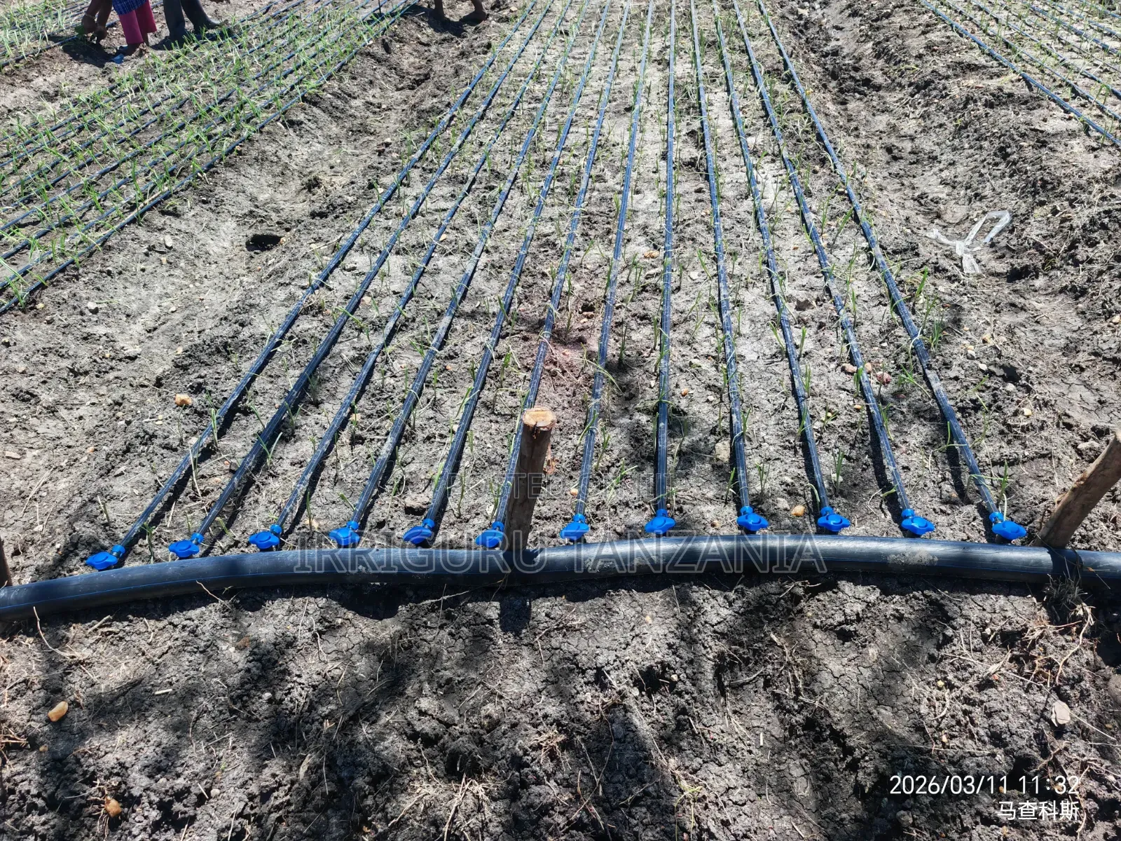 Drip Tape for Irrigation