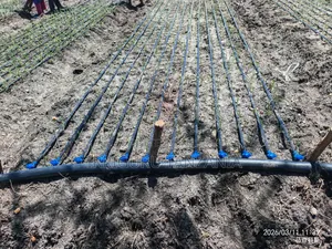 Drip Tape for Irrigation