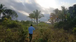 Tangazo La Eneo