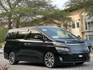 Toyota Alphard 2010 Matt Black