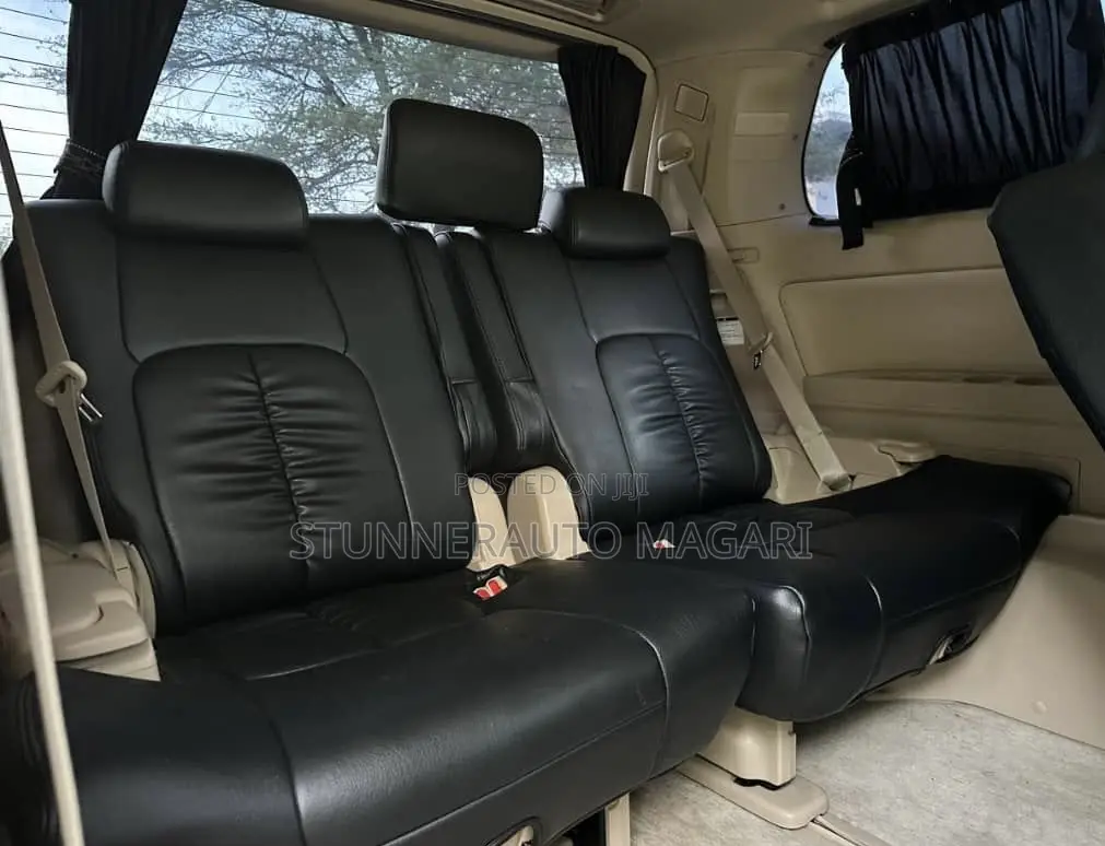 Toyota Alphard 2010 Matt Black