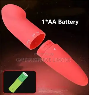Secret Curve Mini Vibrator