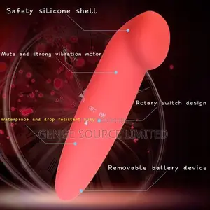 Secret Curve Mini Vibrator