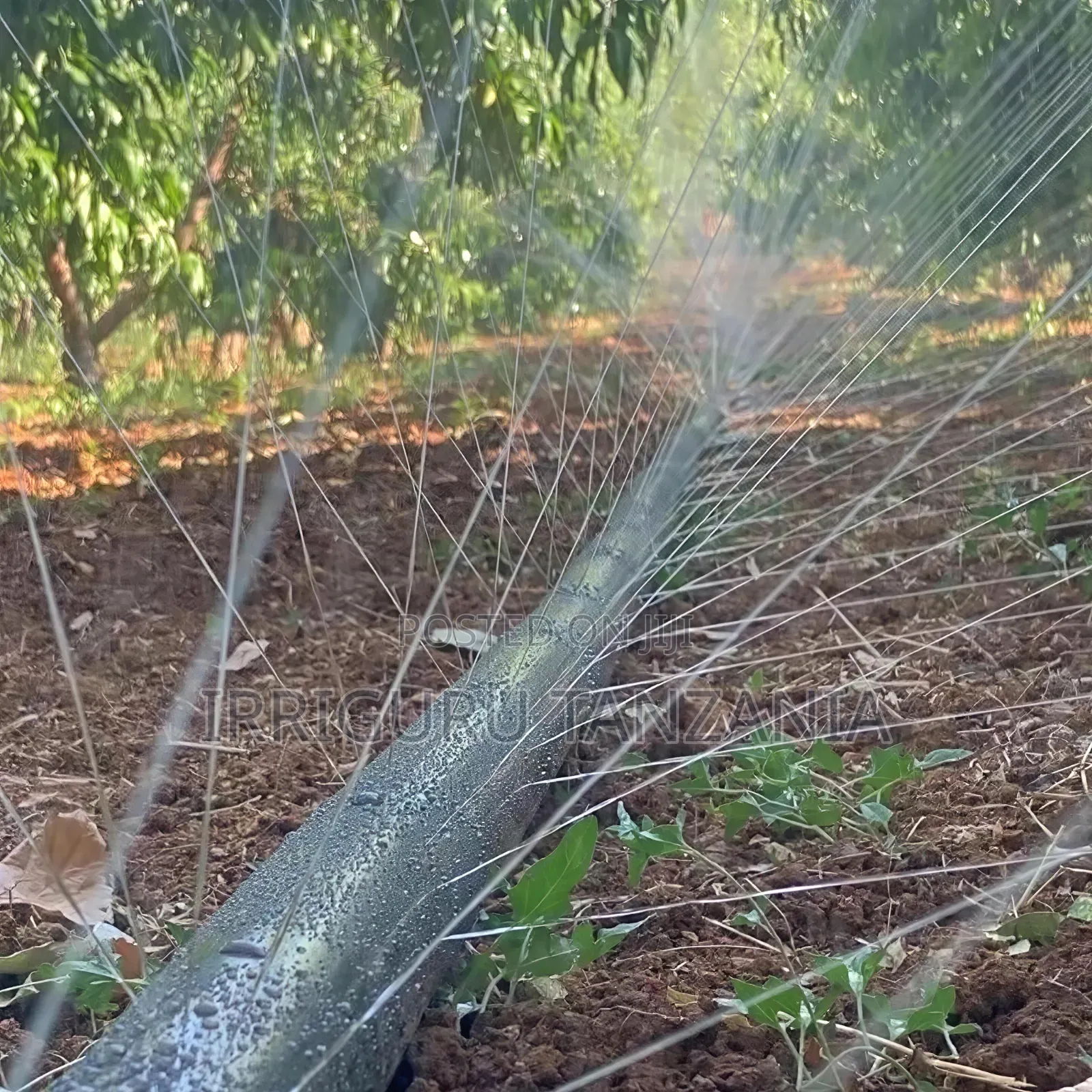 Rain Hose for Drip Irrigation