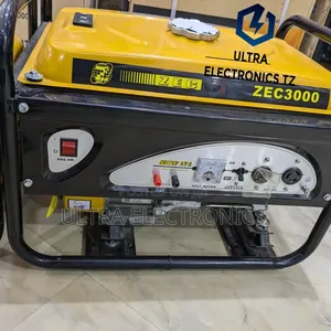 Original Zec Powerful Gasoline Avr 3000generator With Voltmeter/ 2.8kw