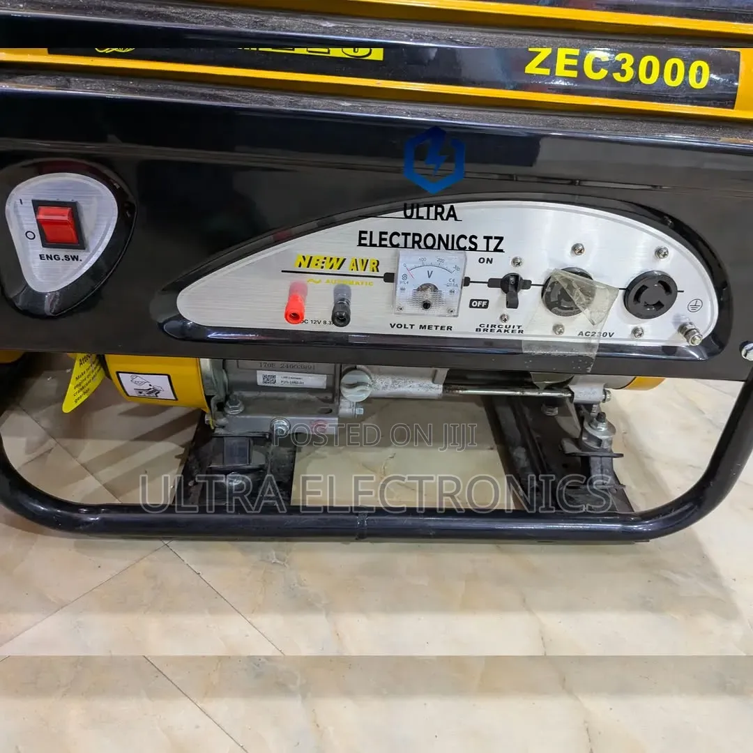 Original Zec Powerful Gasoline Avr 3000generator With Voltmeter/ 2.8kw