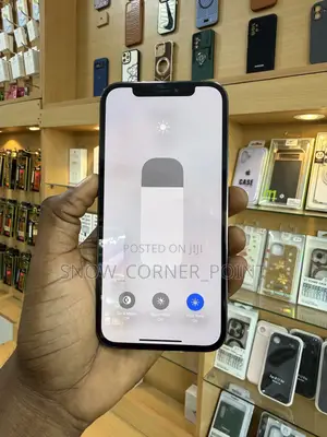 Apple iPhone 12 Pro 512 GB Green
