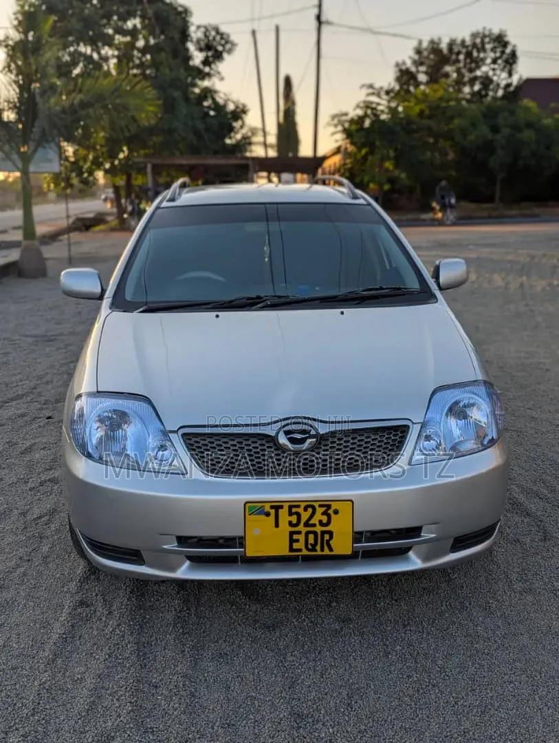 Toyota Corolla Fielder 2006 Silver