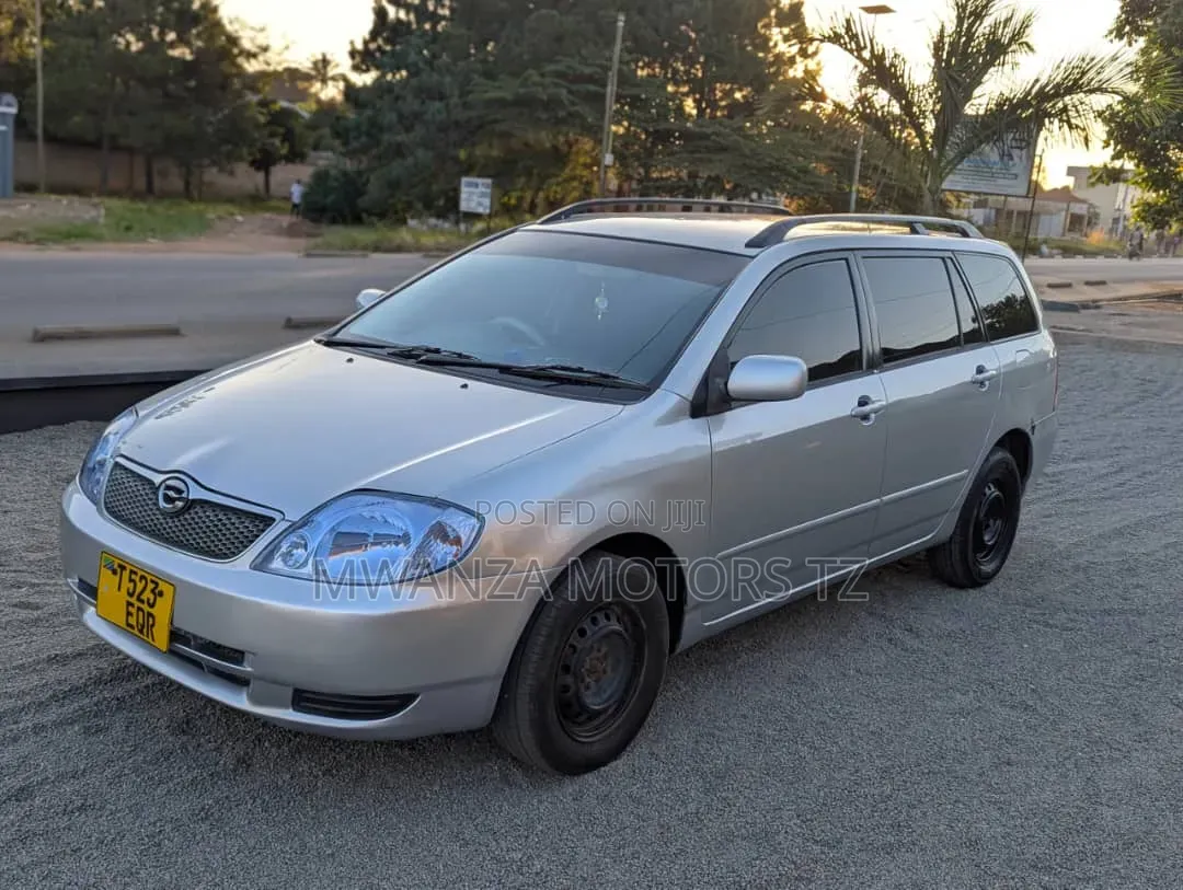 Toyota Corolla Fielder 2006 Silver