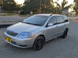 Toyota Corolla Fielder 2006 Silver