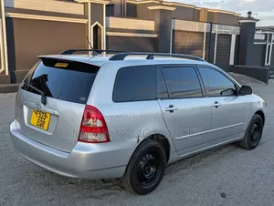 Toyota Corolla Fielder 2006 Silver