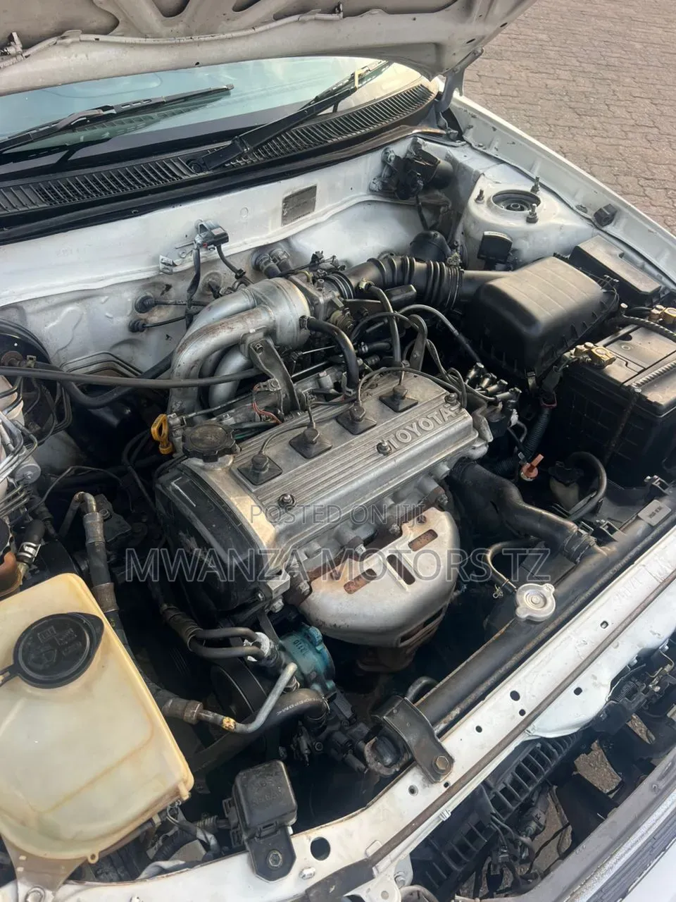 Toyota Corolla 2000 White