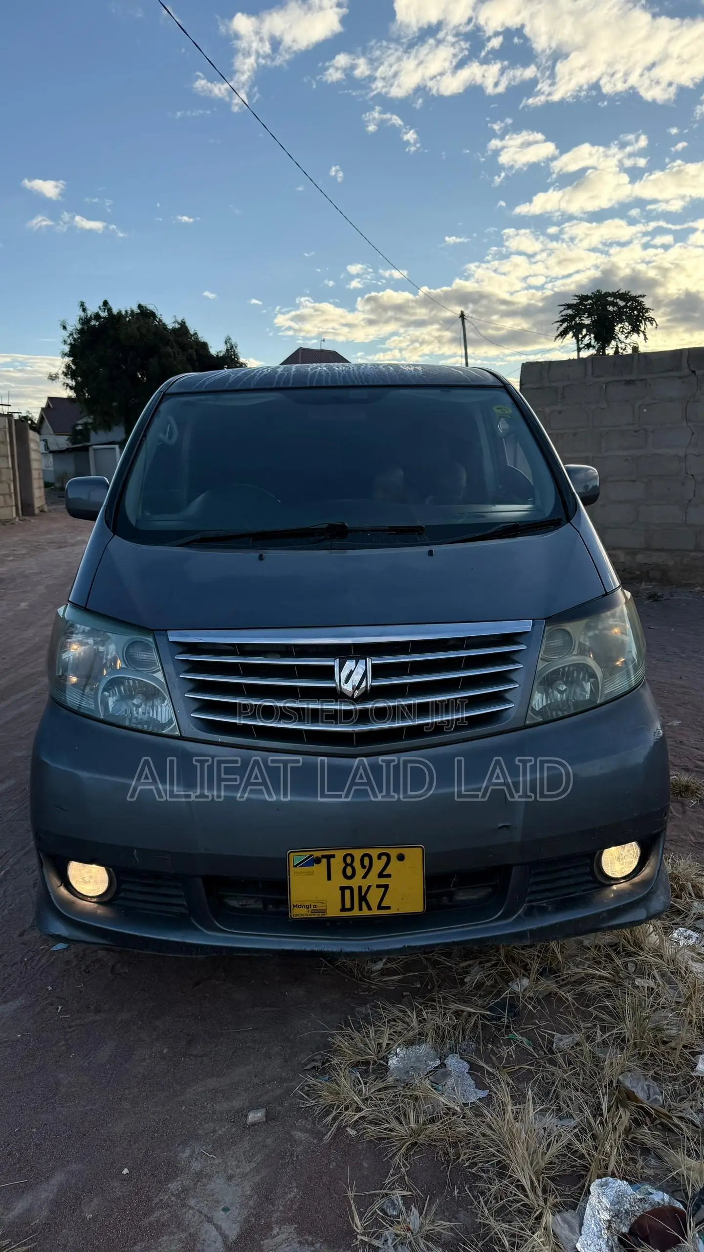 Toyota Alphard 2004 Gray