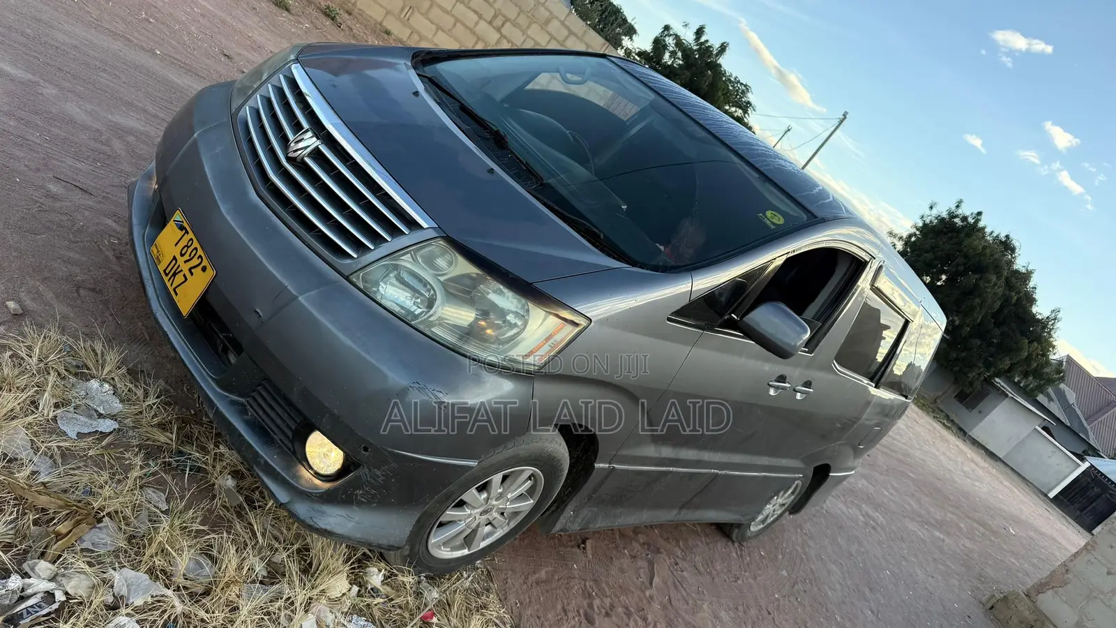 Toyota Alphard 2004 Gray
